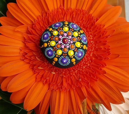 Z Mandala 12